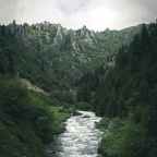 How to Find Peace in Chaos