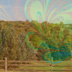 Exploration at the Expense of Social Responsibility